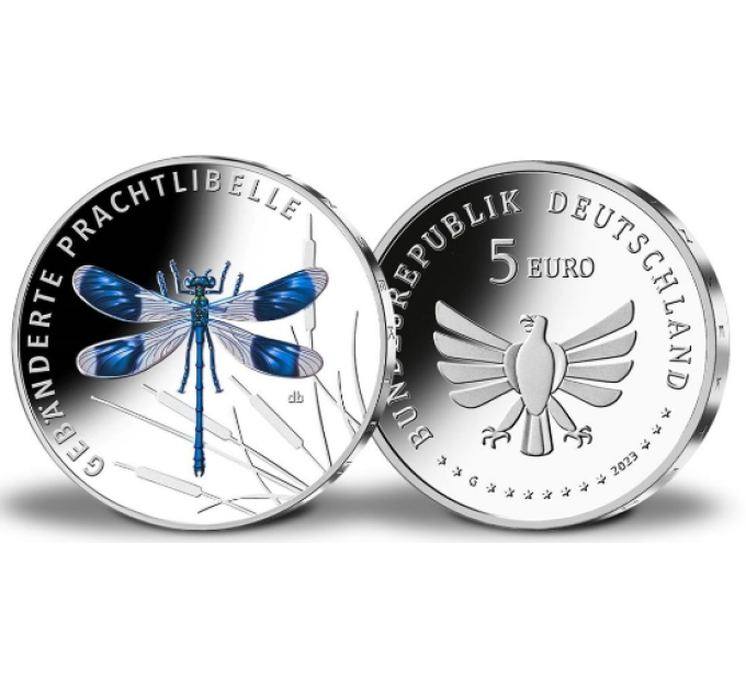 Saksamaa 5 eurot UNC 2023-3 – Putukate imeline maailm – Vöötud neiu