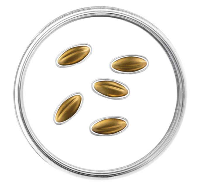 Latvia 15 euro gold proof 2026 - Golden Seeds