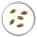 Latvia 15 euro gold proof 2026 - Golden Seeds