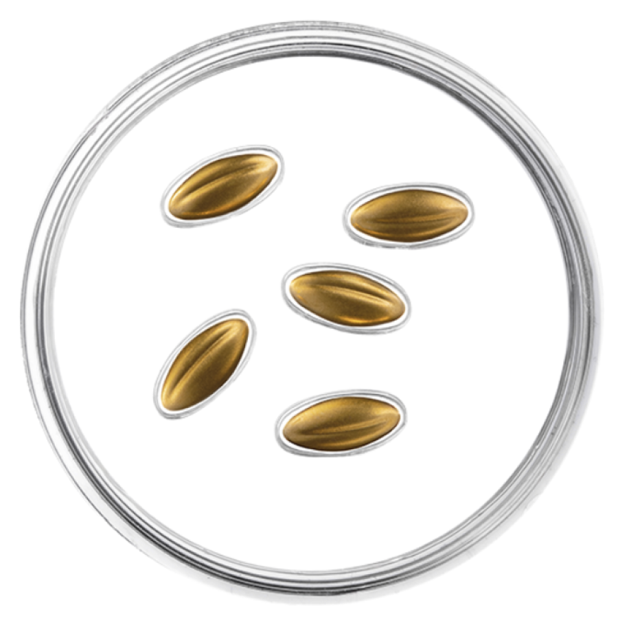 Läti 15 euro kulla proof 2026 – Kuldsed seemned Läti 15 euro kulla proof 2026 – Kuldsed seemned