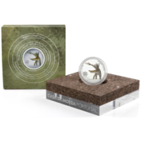 Portugal 5 euro silver proof 2023 - Miragaia longicollum 