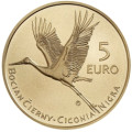 Slovakkia 5 eurot UNC 2023 – Slovakkia loomastik ja taimestik – Must-toonekurg