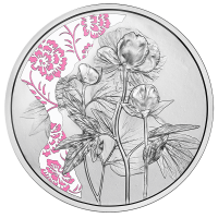 Austria 10-eurone Hõbemünt Proof 2024 - Pojeng