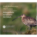 Iirimaa eurokomplekt BU 2024 – Bioloogiline mitmekesisus – Curlew
