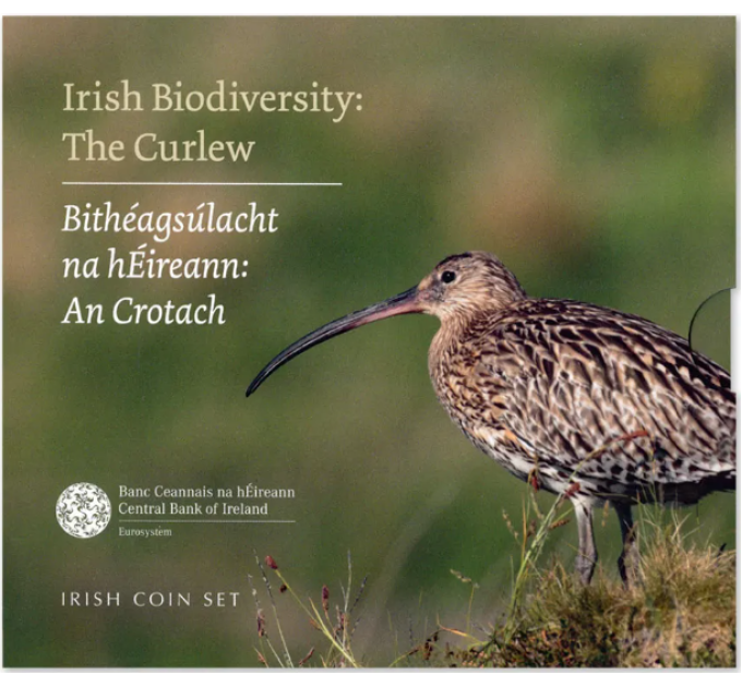 Iirimaa eurokomplekt BU 2024 – Bioloogiline mitmekesisus – Curlew