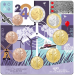 Holland Euromüntide komplekt UNC 2024