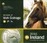 IRELAND 2010 - EURO COIN SET - Land of the Horses